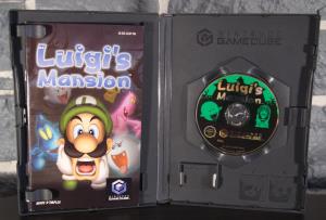 Luigi's Mansion (4)